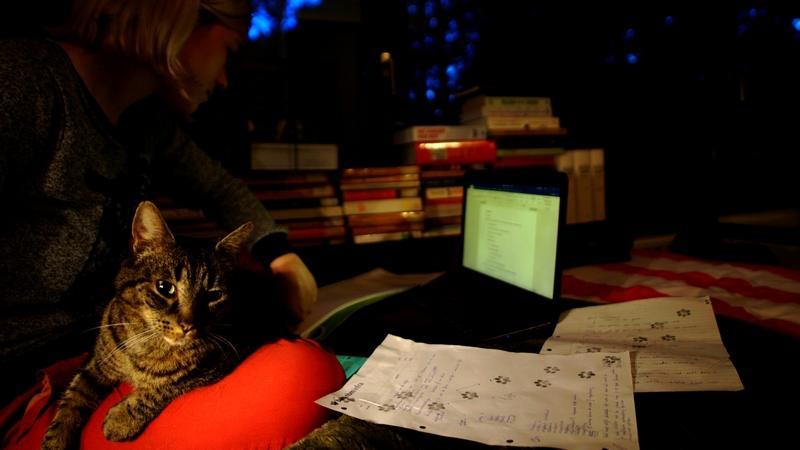 studeer met een kat, haat samen de wereld (© Suzanne Roes | dwars)