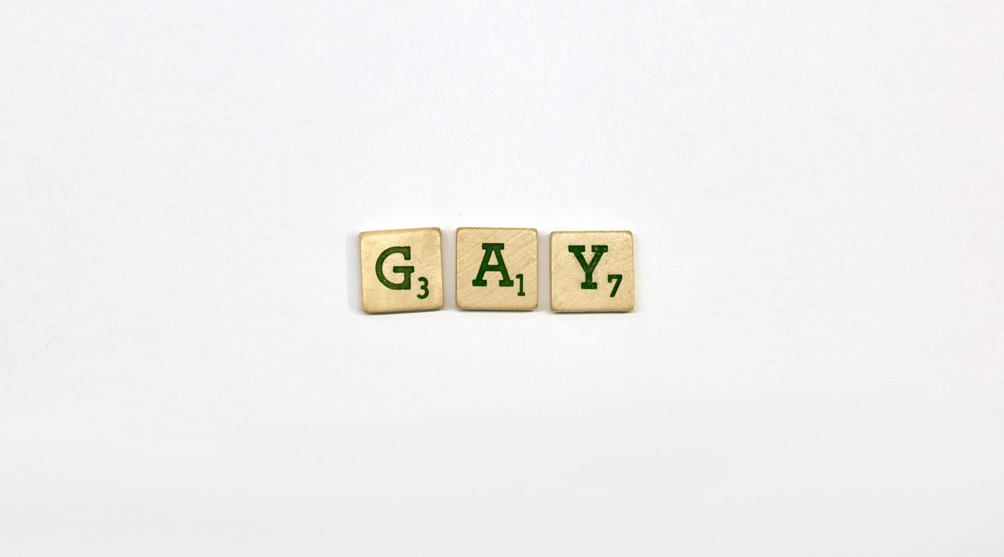 gay door het leven (© Alex Noels | dwars)