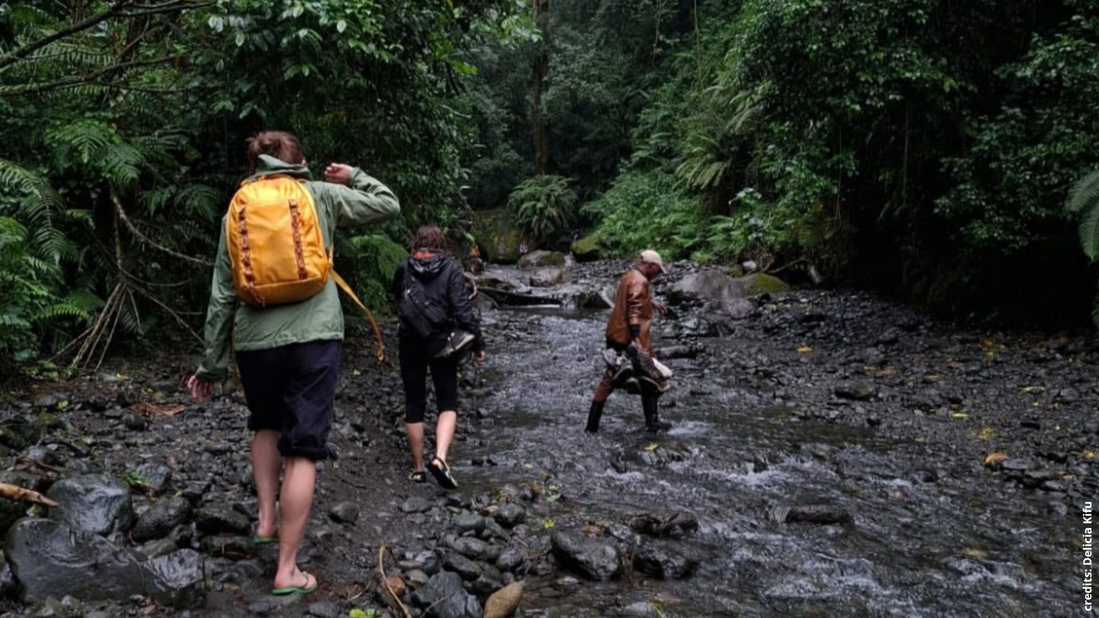 drie mensen wandelend door een rivier met weinig water
