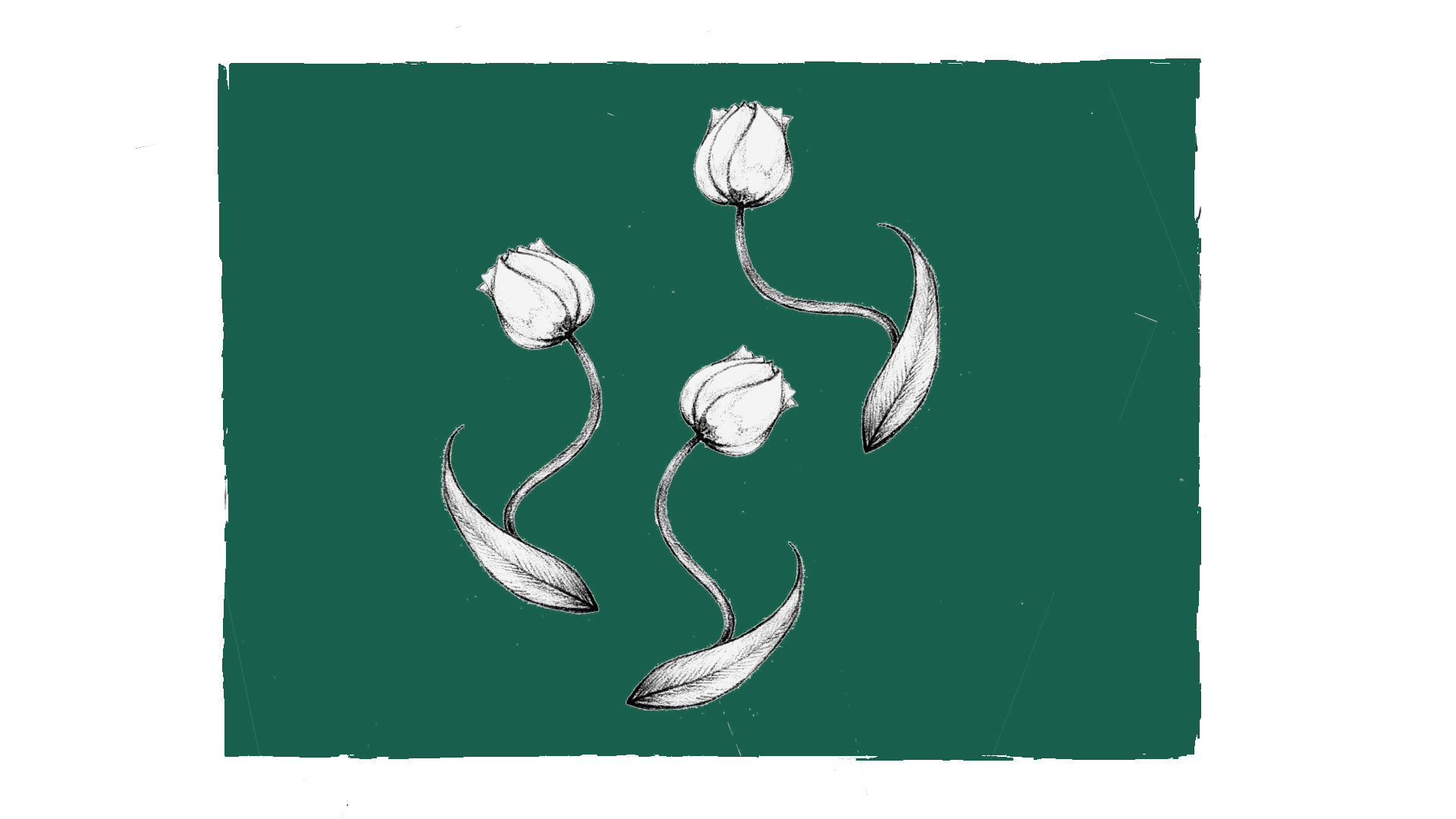 [WAAR ALLES DWARS EN KROM MAG ZIJN] (© [Silke Ramaekers] | dwars) 