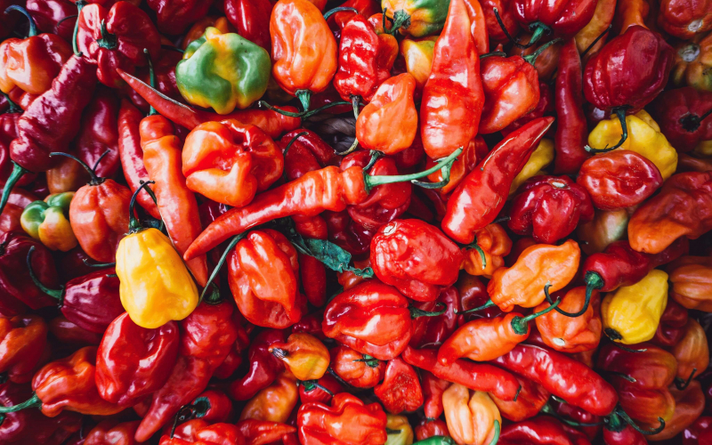 paprika