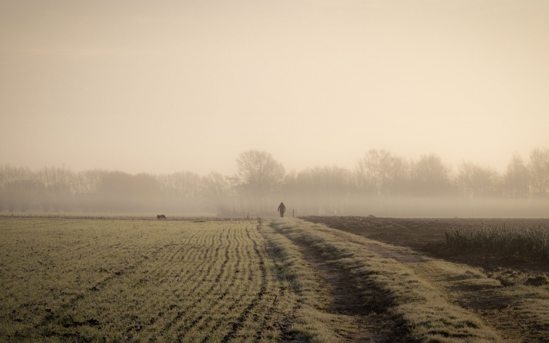 Van de hak op de tak (© Amber Peeters | dwars)