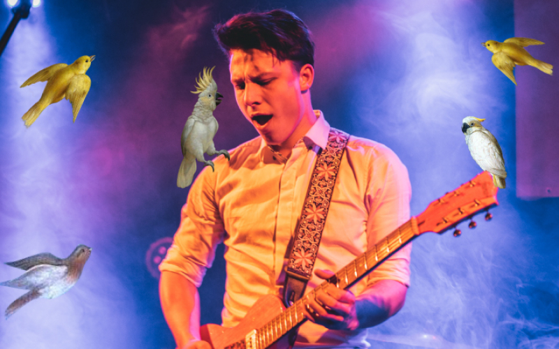 [de student-muzikant] (© [Arne Fivez] | dwars)