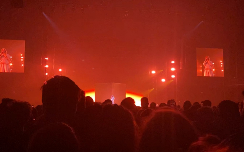 een sfeerfoto van een concert van Oscar and the wolf