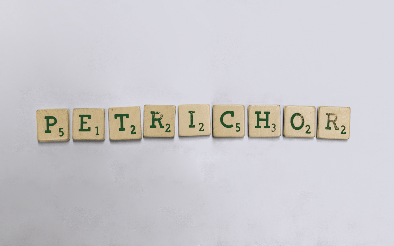 Petrichor (© Selena de Waard | dwars)