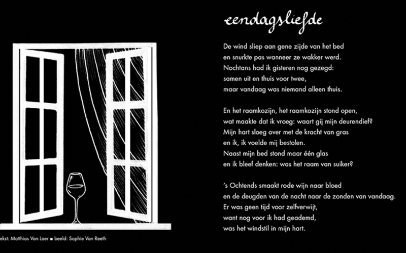 eendagsliefde (© Sophie Van Reeth | dwars)