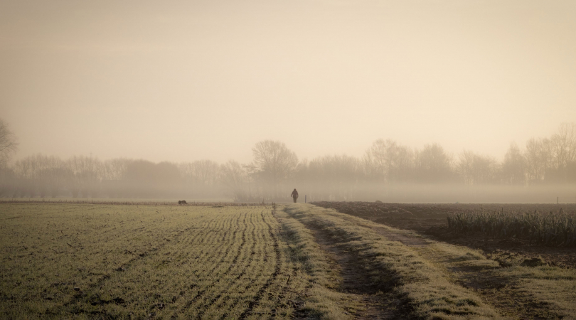 Van de hak op de tak (© Amber Peeters | dwars)