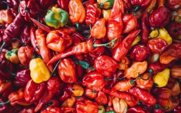 paprika