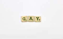 gay door het leven (© Alex Noels | dwars)