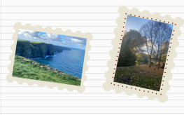  [DUBLIN DIARIES: BRIEF 2] (© [Pauline Bongaerts] | dwars) 