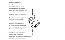 sonoor bedrog (© Laura Y | dwars)