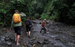 drie mensen wandelend door een rivier met weinig water