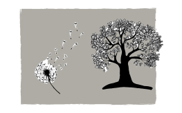 [DE NIEZENDE LENTE] (© [Lotte Mertens] | dwars) 